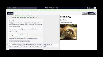 Building a Cat Photo App: Part 1
