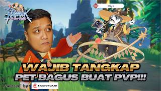 WAJIB TANGKAP! PET LANGKA INI‼️PET YG SKILLNYA BAGUS UTK PVP⁉️Ragnarok: The New World SEA screenshot 2
