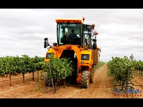 Vendimia Mecanizada 2015 en Tomelloso |Jóvenes Agricultores| |GoPro3+| |Canon EOS 70D|