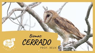 Biomas: CERRADO - Ensino Fundamental