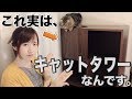 【猫】これ、実はキャットタワーなんです！【スタイリッシュな猫グッズ】