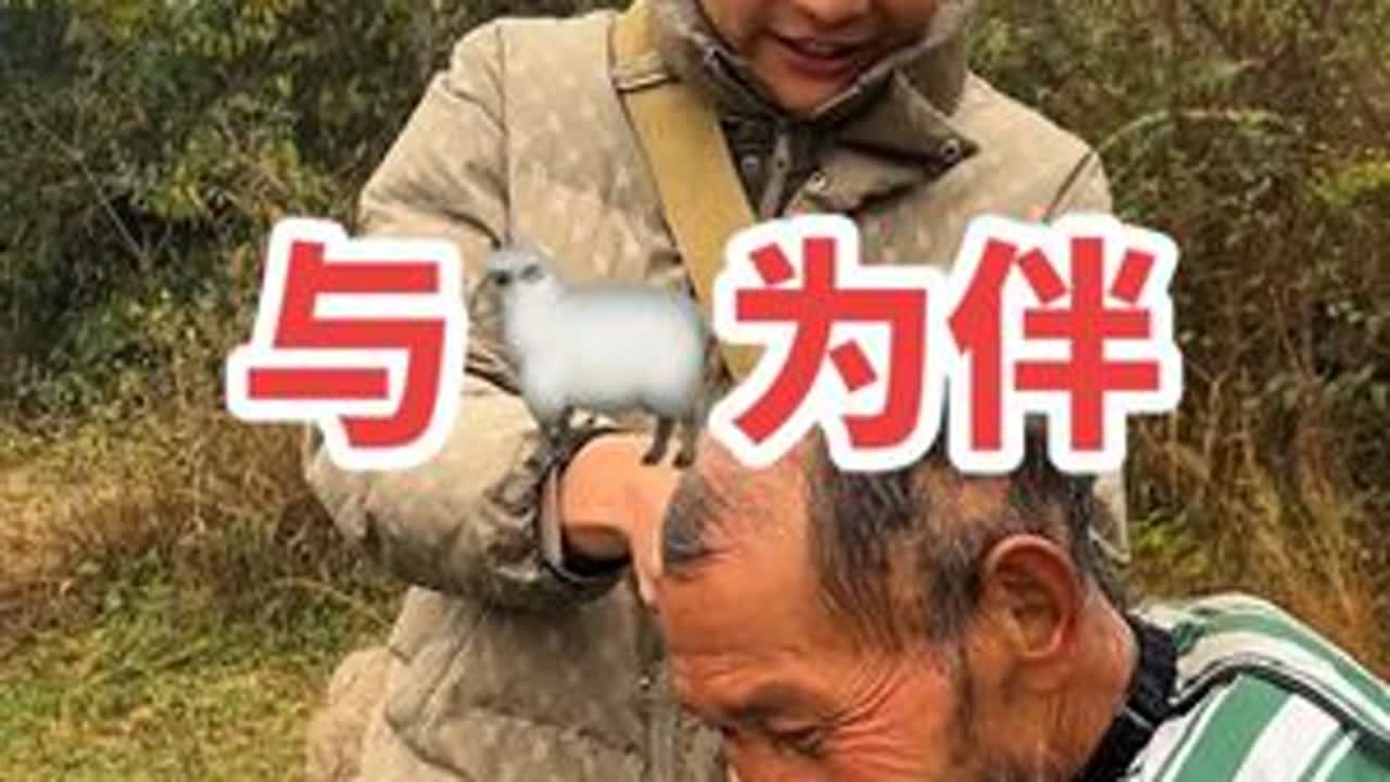大山里的爷爷与🐑为伴#重生之我在乡村高能量的一天 #创作者中心 #创作灵感 #关爱老人 #公益剪发@抖音小助手 @DOU+小助手 @DOU+上热门