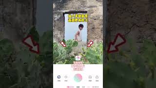 Photo Editing Photography tips and tricks with mobile