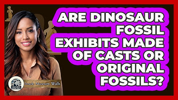 Are Dinosaur Fossil Exhibits Made Of Casts Or Original Fossils? - Inside Museum Walls