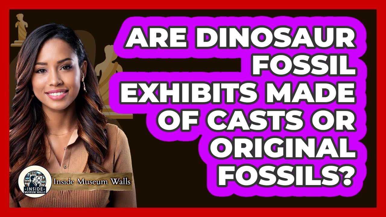 Are Dinosaur Fossil Exhibits Made Of Casts Or Original Fossils? - Inside Museum Walls