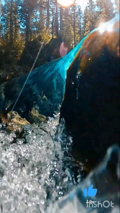 under wayer world with camra (ˊo̴̶̷̤⌄o̴̶̷̤ˋ) #youtubeshorts #shorts #shortsfeed #viral