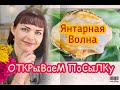 ЯНТАРНАЯ ВОЛНА ОТКРЫВАЕМ ПОСЫЛКУ