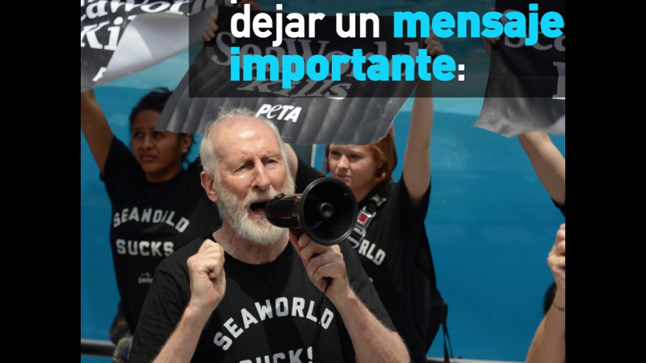 James Cromwell y PETA tomaron el show de orcas de SeaWorld activista adnet