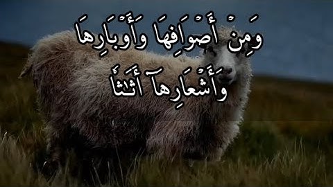 (وَاللَّهُ جَعَلَ لَكُم مِّن بُيُوتِكُمْ سَكَنًا) سورة النحل - إدريس أبكر