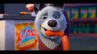 Pets United Full Netflix English Animated Movies Cartoons Free
