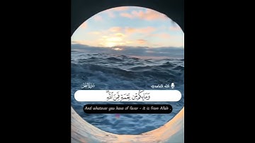 القارئ 🎤 عبدالله الغامدي