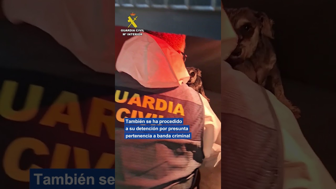 La Guardia Civil detiene en un criadero canino de Asturias a cuatro personas