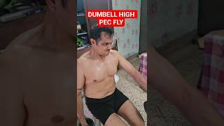 Dumbell High Pec Fly - Home Exercise Chest