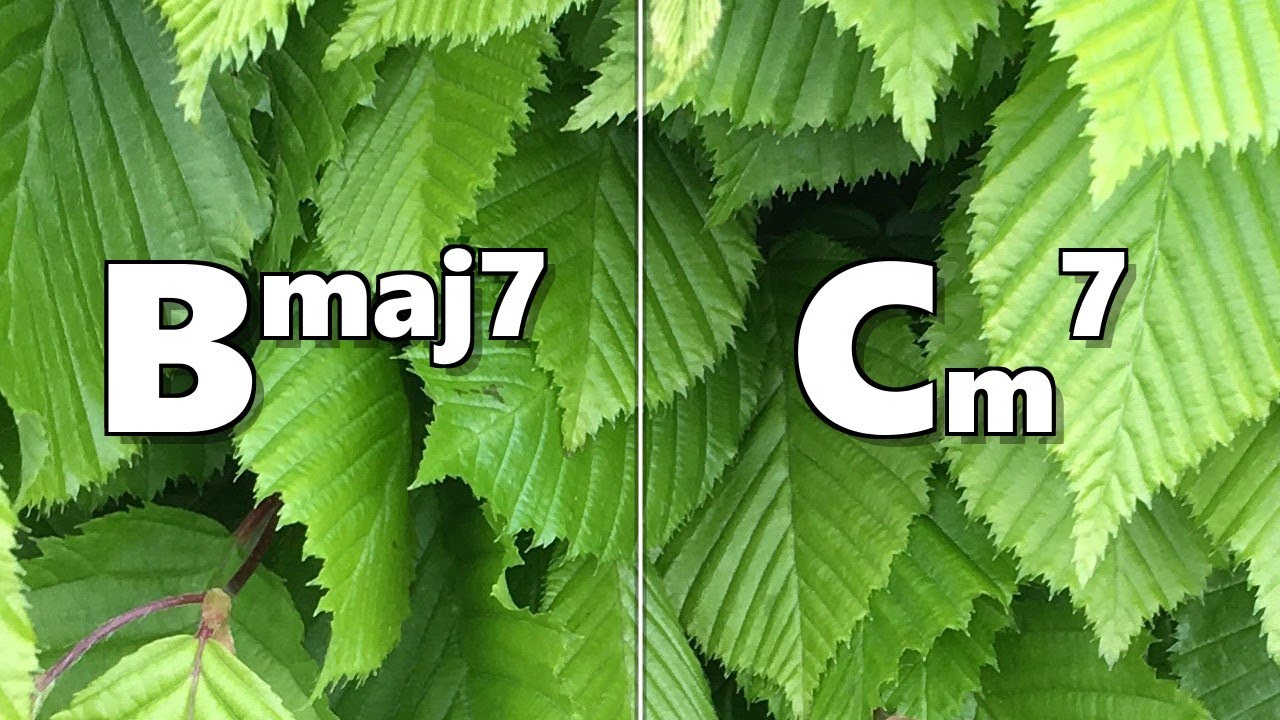 Bmaj7 to Cm7 Backing Track