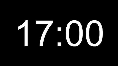 17 Minute Timer / 1020 Seconds Timer