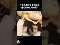 巨人のドライチから着ぐるみへ転落した島野修に関する雑学【プロ野球/NPB】