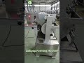 🍭High-Efficiency Automatic Ball Lollipop Forming Machine for Confectionery Plants#lollipopmachine