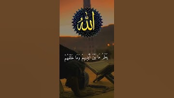 إسلام الصبحي🌷 ⚘أجمل حالات واتس اب قرآن كريم💛ستوريات أنستا دينية/أية الكرسي Quran Status ⚘