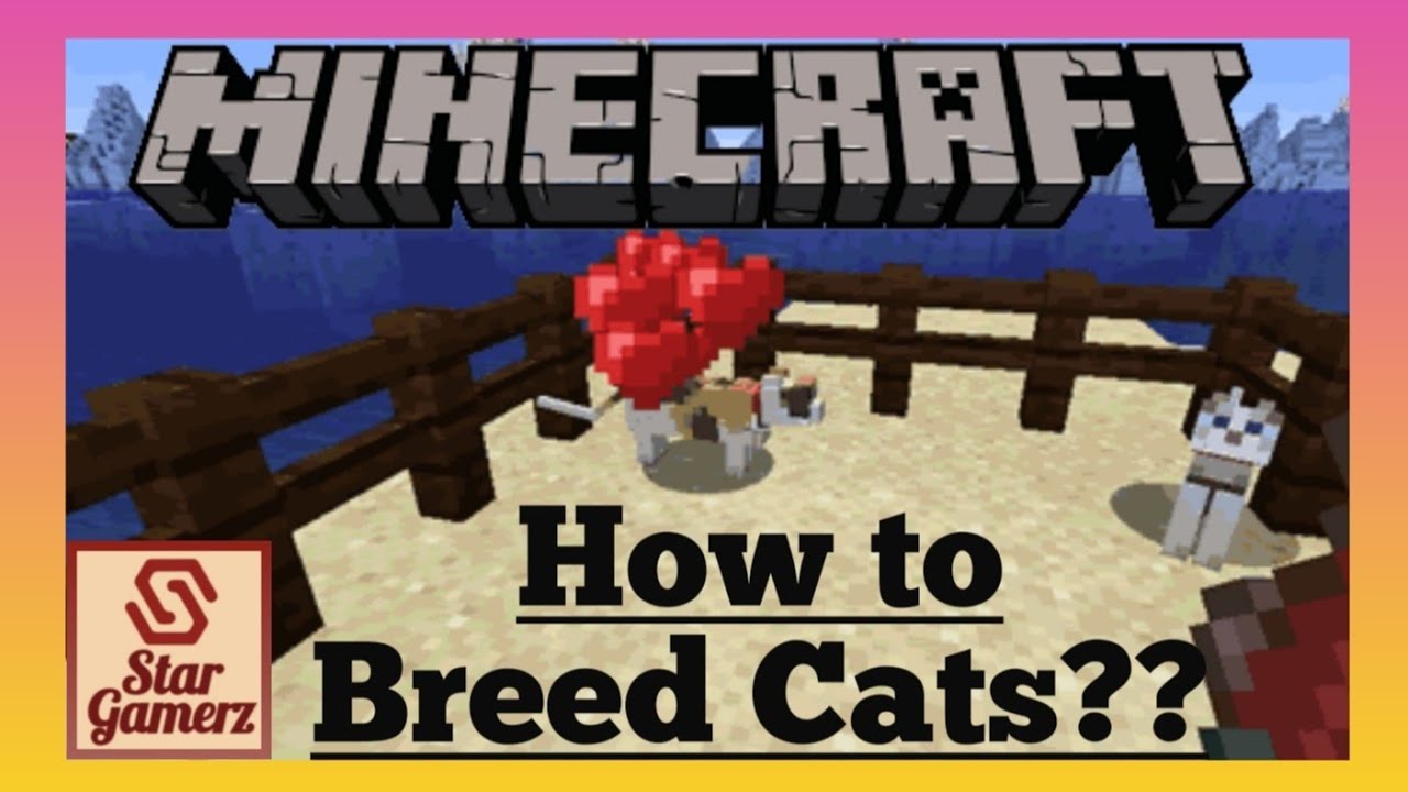 How to Breed Cats in Minecraft ?? For Basic Learners - YouTube