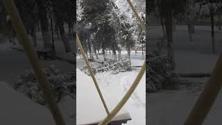 День рождения в больнице и еще столько снега не было в Ташкенте