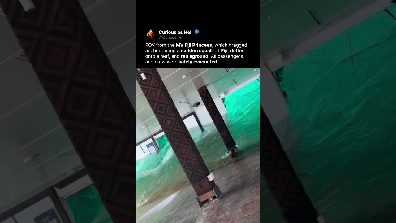 Fiji Cruise Disaster POV 🚢
