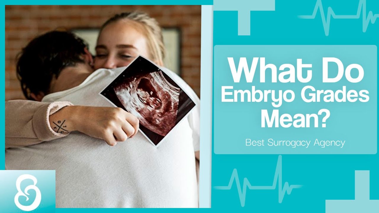 Embryo Grading Chart