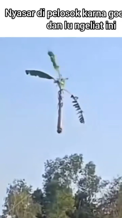 Viral !!! Pohon pisang terbang #fyp #fypシ゚