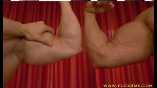 Double Bicep Muscle Admiration