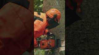 History of Arboriculture