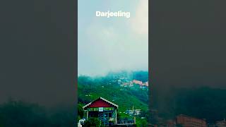 #darjeelingsightseeing #darjeeling #travel #nature #mountains #himalayas