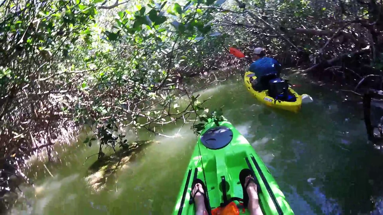 Kayaking Islamorada YouTube