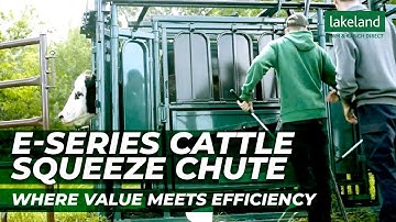 The Lakeland E-Series Cattle Squeeze Chute | A Cattle Handler With All The Value and No Compromises