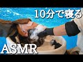 炭酸頭皮マッサージと炭酸シャンプーで泡ヘッドスパASMR【寝落ち用】