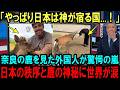 【海外の反応】「これは神様だ」奈良公園の鹿が秘める神秘に世界が驚愕している理由