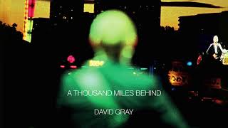 Vignette de la vidéo "David Gray - Go Down Easy (Official Audio)"