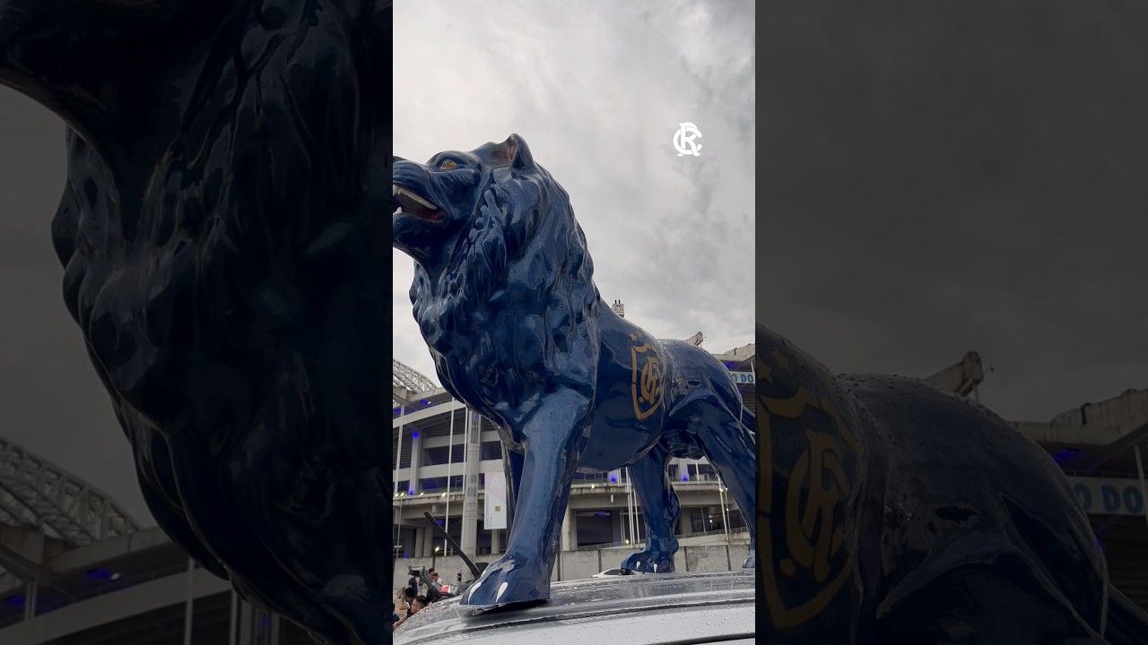 ANIVERS&Aacute;RIO NO EST&Aacute;DIO 🏟️