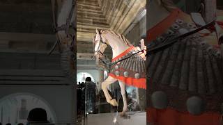 ચેતક🎠// chetak the horse of maharana pratap