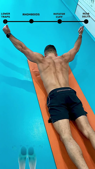 Back Muscles Home Exercises