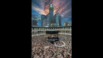 سورة النحل {الآية 79} بصوت الشيخ ياسر الدوسري ❤️❤️