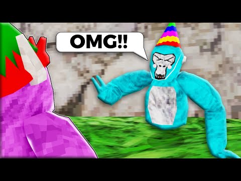 I Surprised My BIGGEST Fan in Gorilla tag…