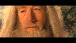 I Will Take The Ring To Mordor