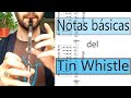 Notas y posiciones básicas del Tin Whistle