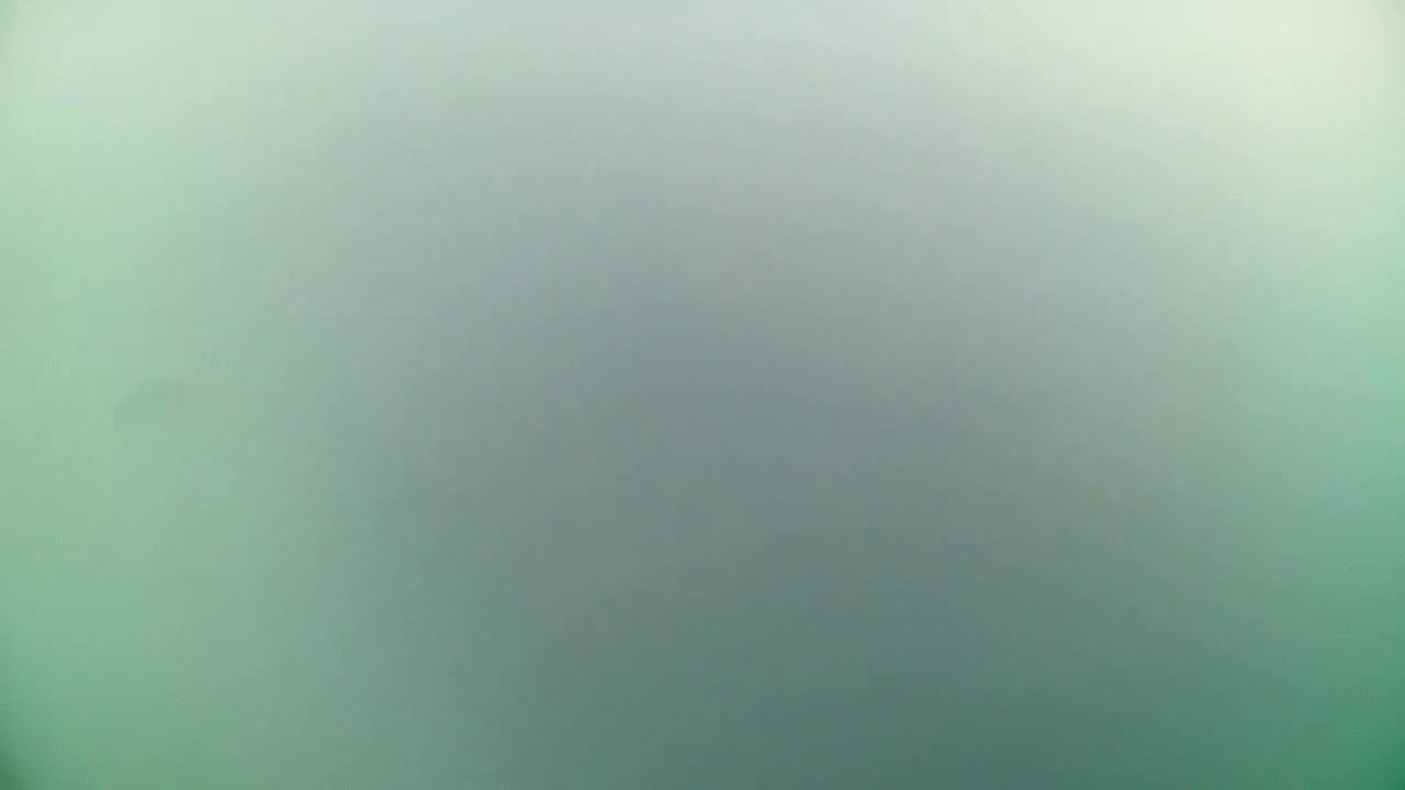 YouTube player