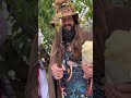Mycelius Wizard and his Amanita Queen 😁🤙❤️🍄 Mush love! #mushrooms #halloweenfun #fun #mycology