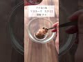 【3ヶ月で18kg痩せた】ツナマヨ豆腐グラタン🎶 #ダイエットレシピ #節約レシピ #ダイエット