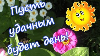 Доброе Утро!Хорошего Дня😊😉😊Красивое Видео-Поздравление💐