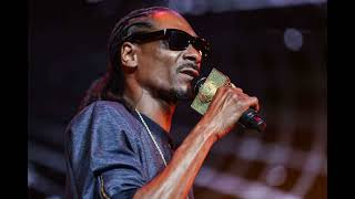 (AI Music) Snoop Dogg - Freestyle (Prod by Dr Dre)