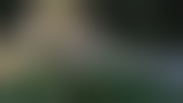 CBD vs. THC (Part 3): Getting the Most Out of Your Medicine | Discover Marijuana