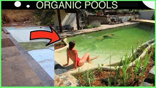 A step by transformation of conventional outdoor pool into an organic
pool. this was completed the owners and friends with intermittent help
...