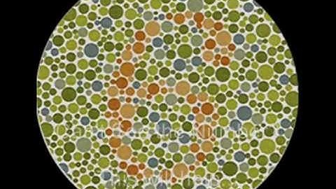 color blindness test CHEAT